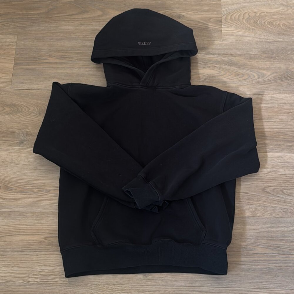 Aritzia Perfect Hoodie
